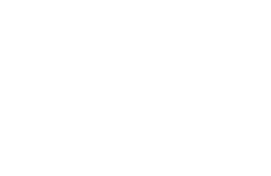 中天生命