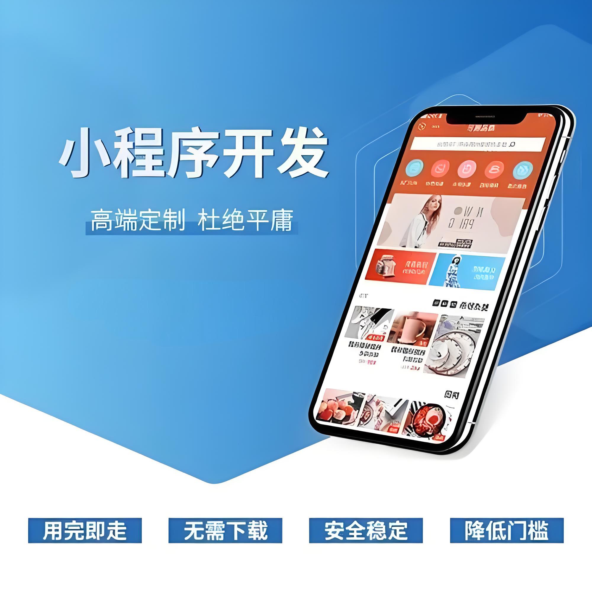 开发一个海外小程序需要满足哪些条件？----普软科技